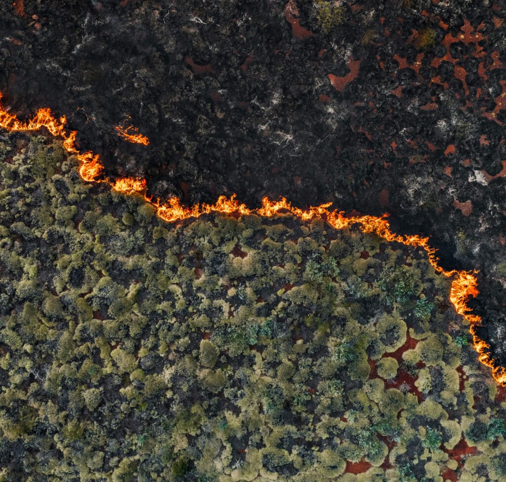 Hero Wildfire